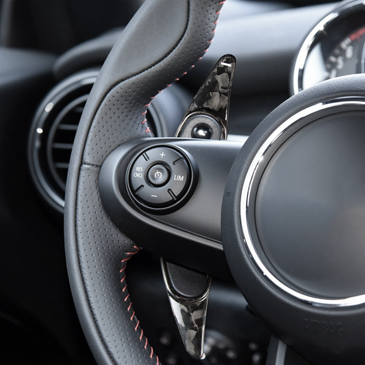 Mini Cooper carbon fiber paddle shifters – Jonparts