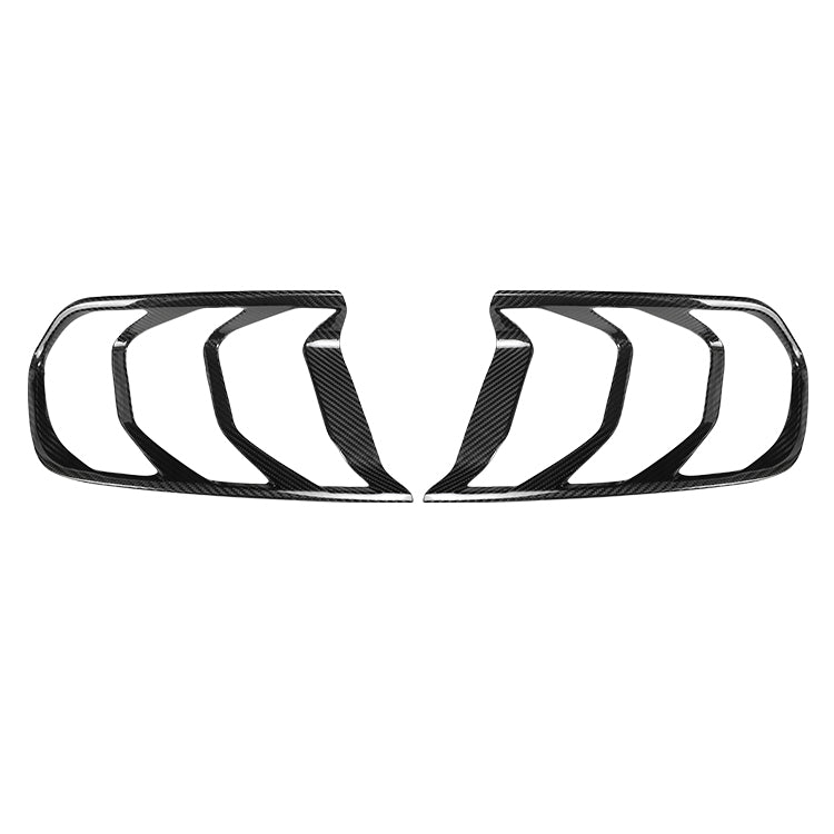 Ford Mustang carbon fiber tail light cover – Jonparts